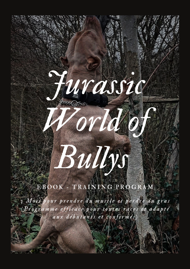 JWB - Programme d’entraînement (Version française)